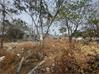 Residential Land for Sale in Telangana